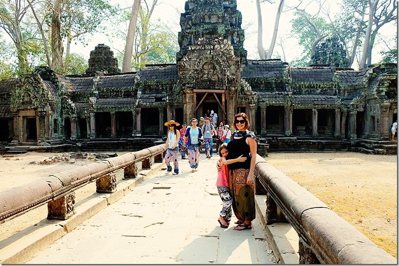 cambodia tree temple