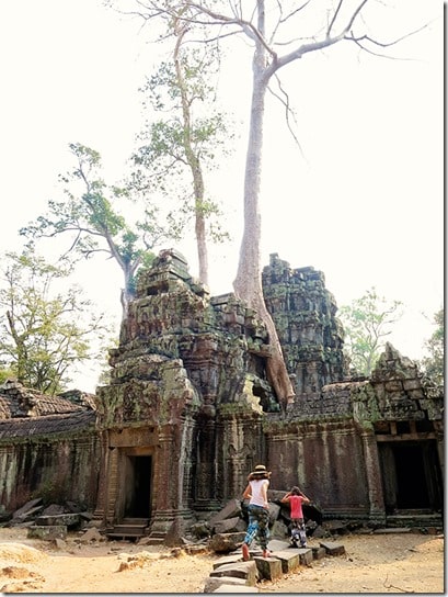 ta prohm tomb raider