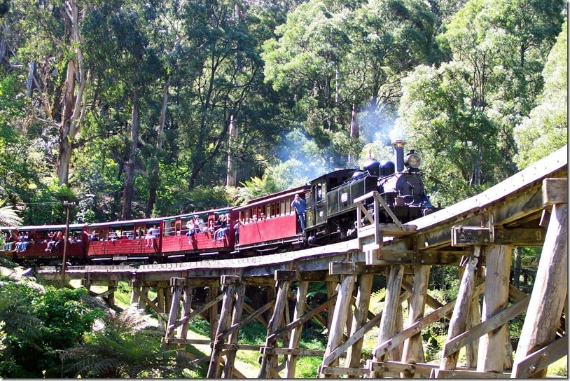 Healesville Sanctuary, Puffing Billy and Penguin Parade Day Tour