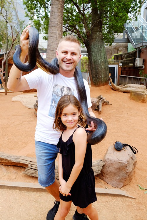 Snakes at Sydney Wild Life Zoo