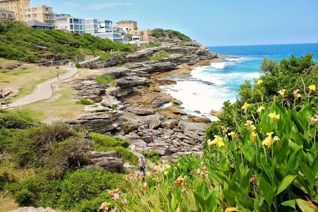 Bondi to Coogee Walk