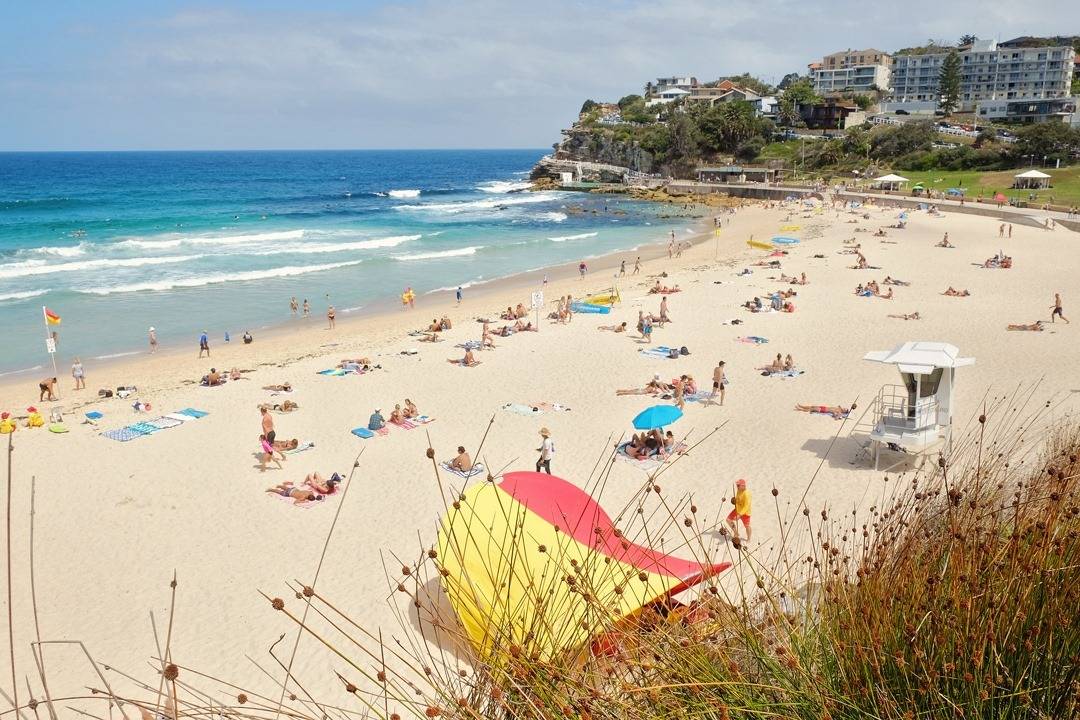 Bondi to Bronte walk