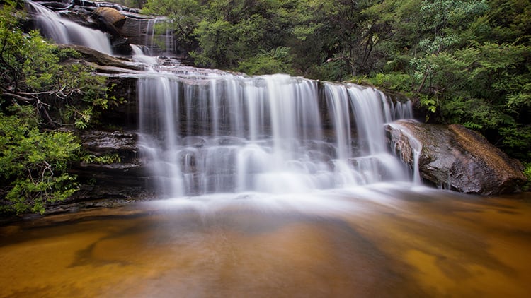 Wentworth Waterfall Blue Mountains NSW