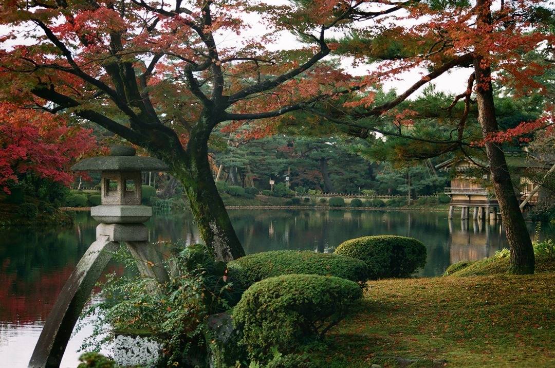 Kenroku-en Garden | Traditional Japanese Garden, red leaf trees, green gardens and some buildings around the water