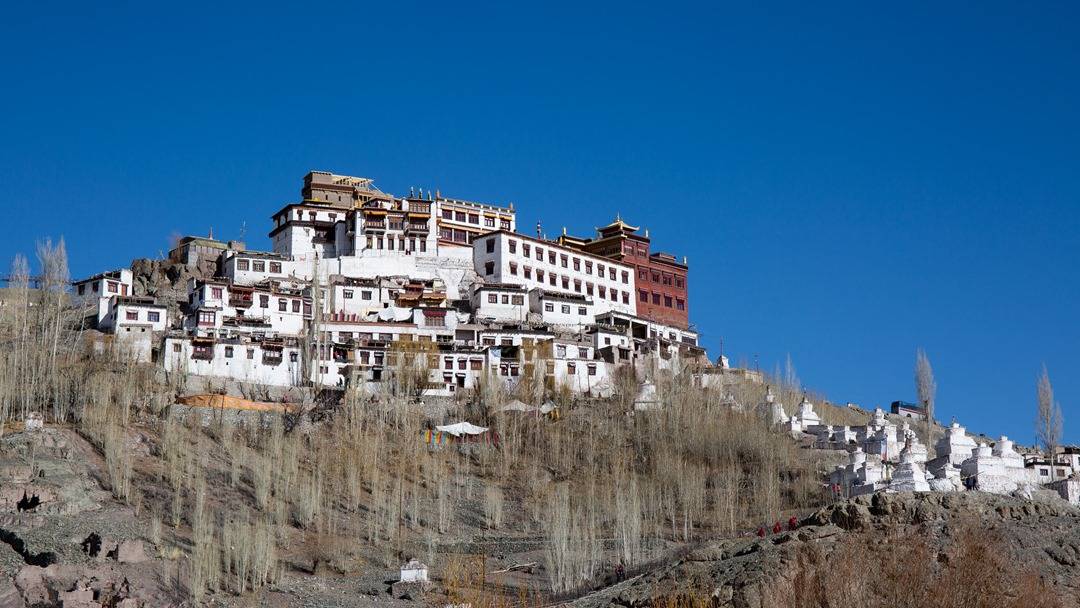 Matho Monastery 