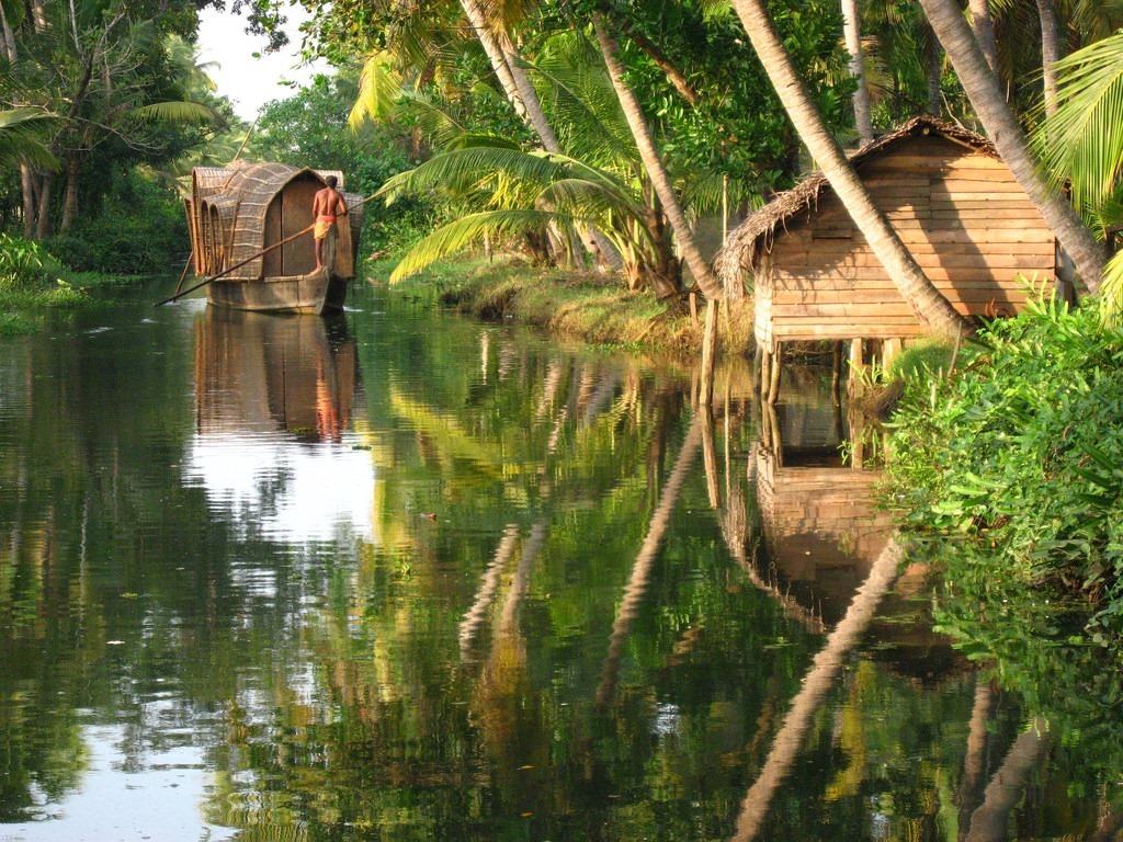 Cohin Backwaters
