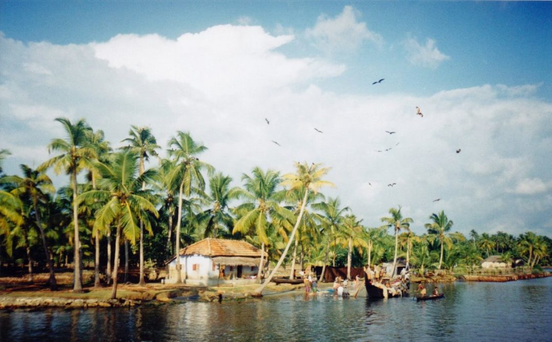 Top 5 Places to Visit in Kerala, India