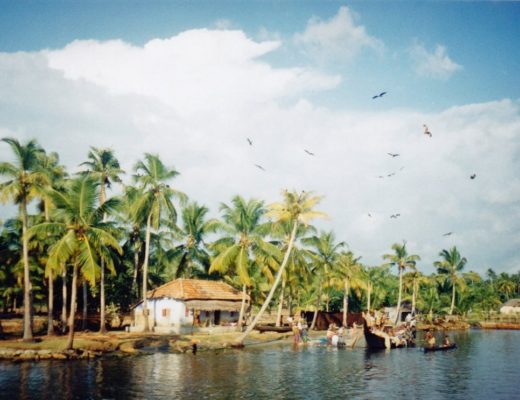 Top 5 Places to Visit in Kerala, India