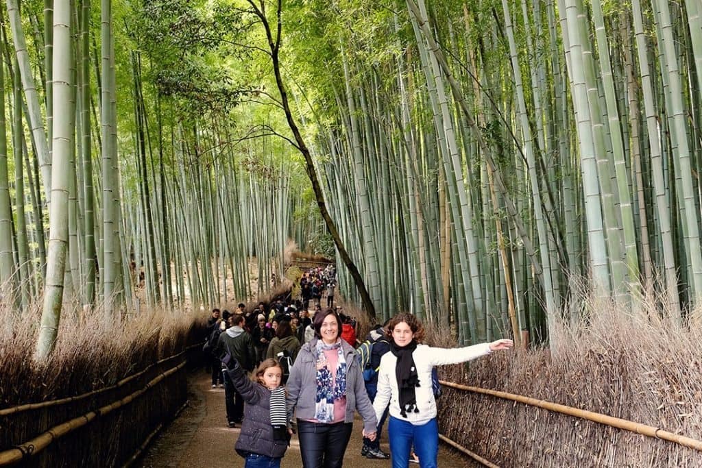 Bamboo Forest Arashiyama Kyoto Japan