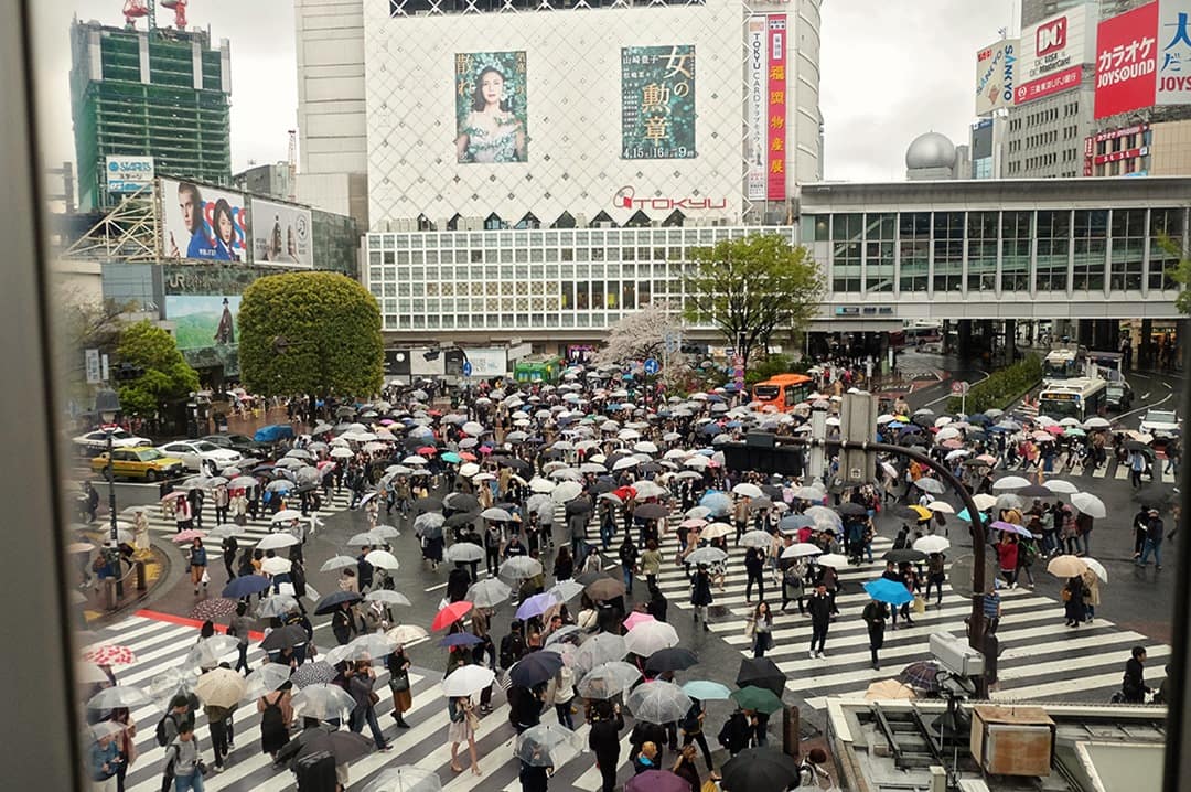 Shibuya Crossing | Tokyo's Busiest Crossing