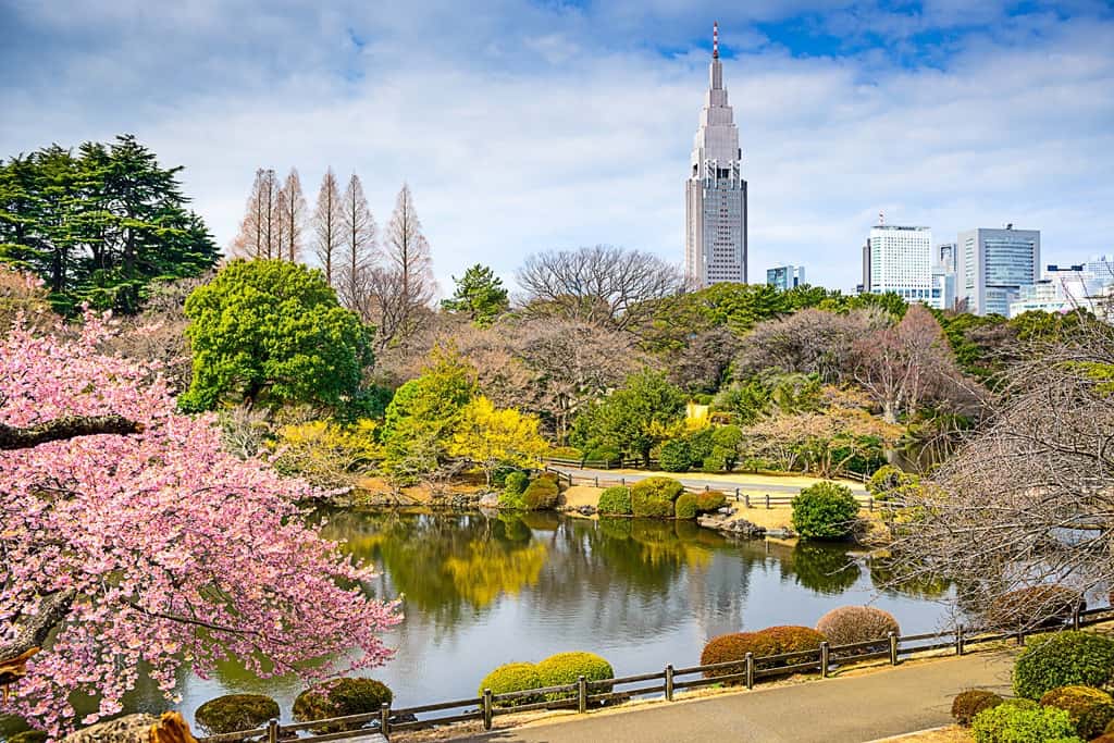 Shinjuku Gyoen National Garden