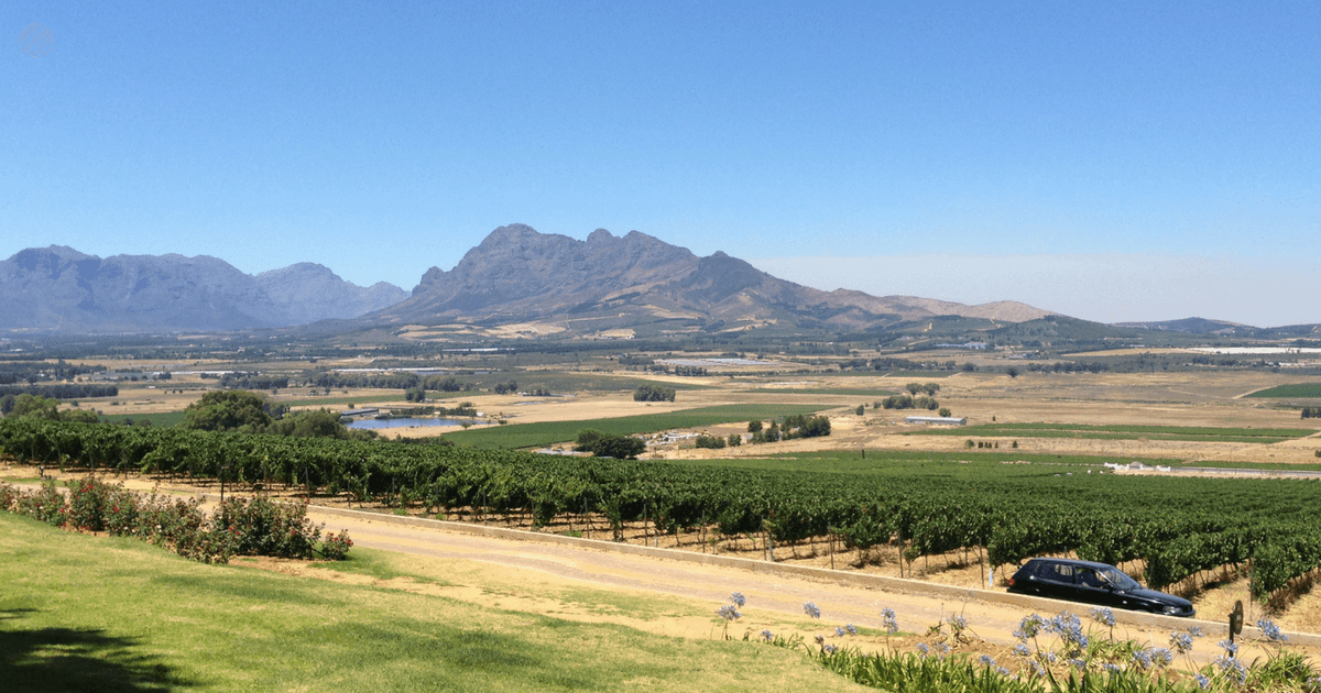 child friendly wine farms stellenbosch