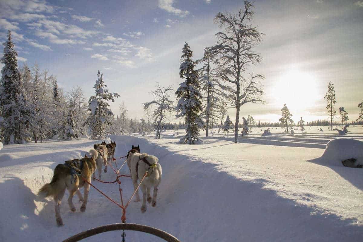 World's Top 15 Best Christmas Vacations for Families! Best Family Vacation For Christmas