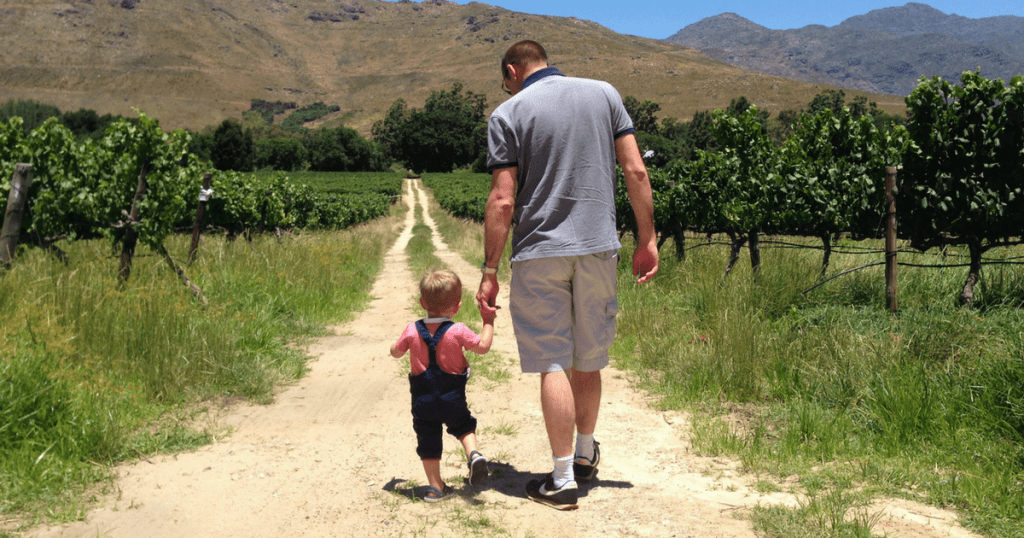 child friendly wine farms cape town