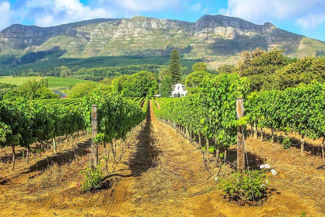 5 Child Friendly Wine farms to Visit in the Cape Winelands, South Africa