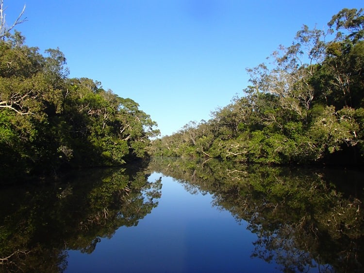 Noosa Everglades