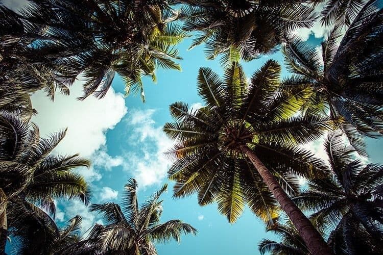 Havelock Island blue sky with white clouds, Andaman Islands, India 