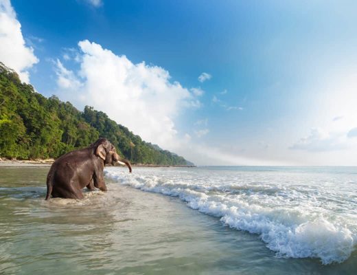 Things to do in Andaman Island India