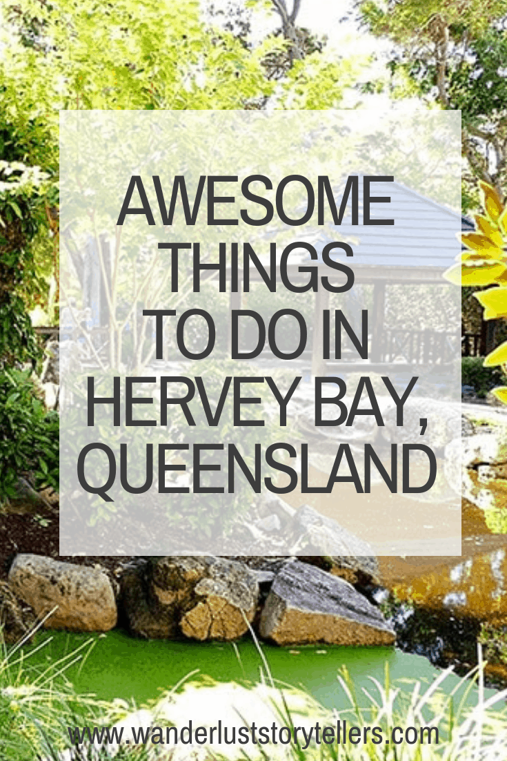 Top Things to do in Hervey Bay Queensland Australia