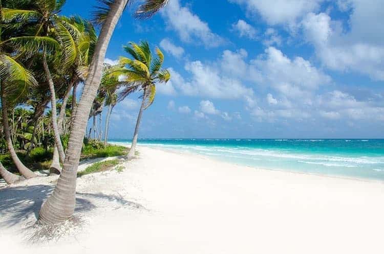 Wild Beach at Tulum - Riviera Maya in Mexico