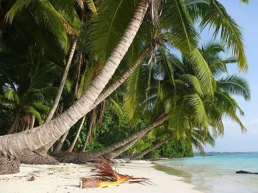 Beach no. 5, Havelock Island, Andaman Islands, India