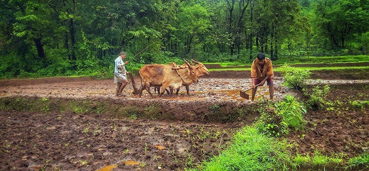 Worst-time-to-visit-GOa