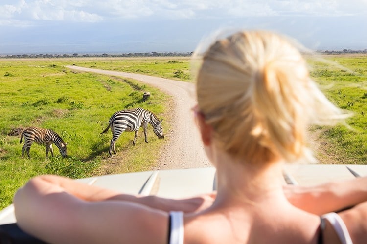 adventure holidays for families - Safari