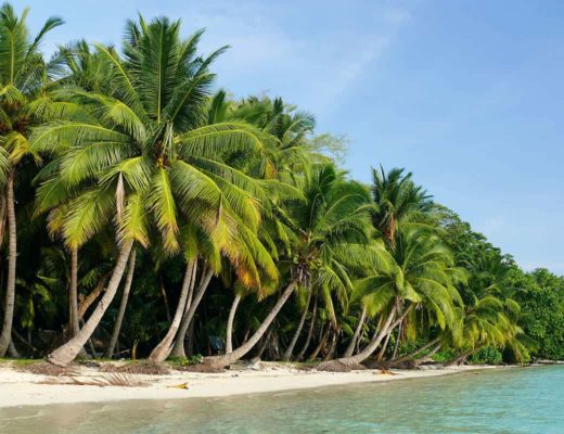 Best time to Visit Andaman and Nicobar Islands