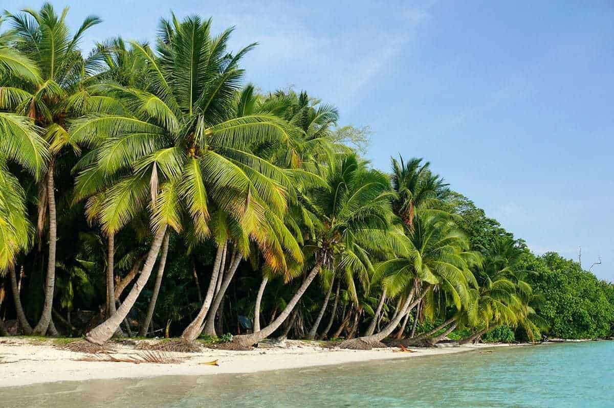 Beach no. 5, Havelock Island, Andaman Islands, India