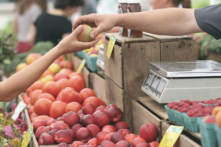 Noosa Markets