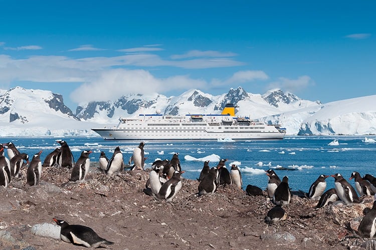 Antarctic Cruise with Kids