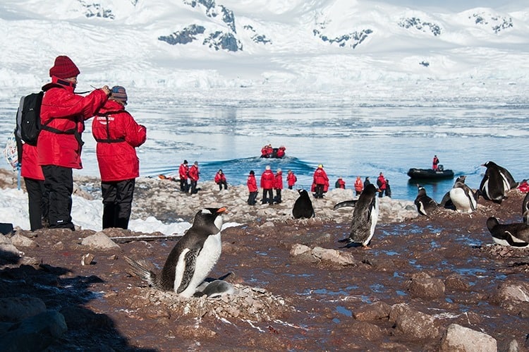 Antartica with Kids