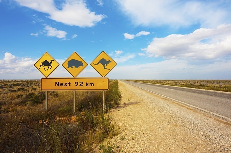 Australian Animals Road Sign