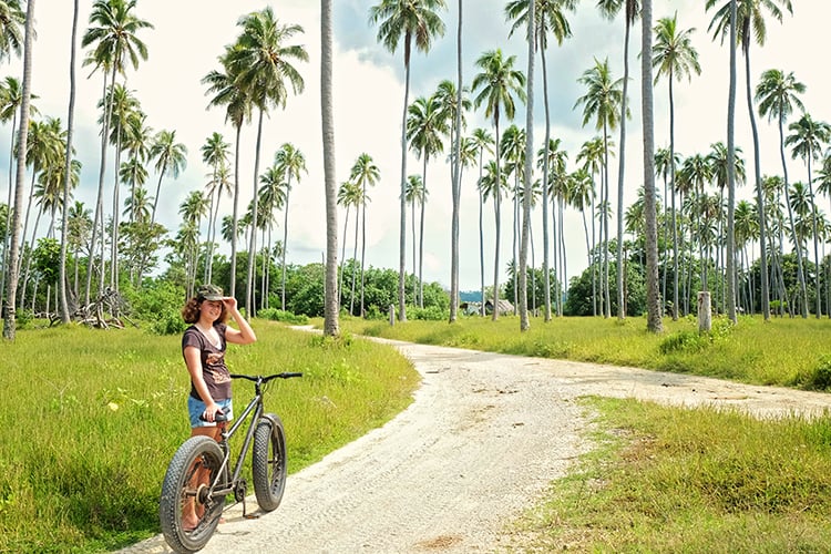 Coconut Plantations Vanuatu