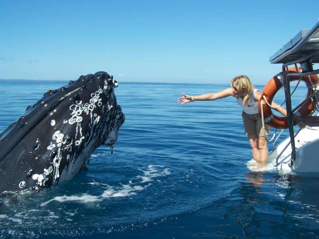 Fraser Island Tours To Go Fraser Island Tours To Go