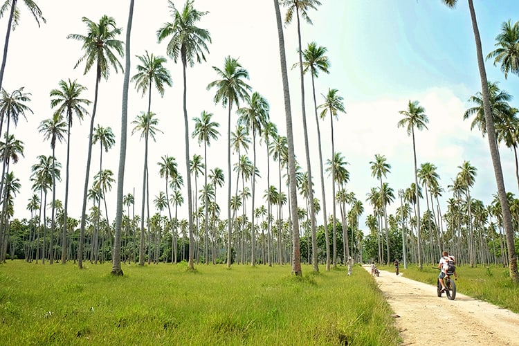 Things to do on Aore Island Vanuatu