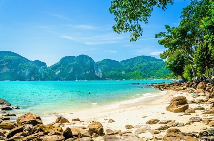 Fabulous beach with exotic plants and white sand on a background of blue sky and azure blue sea