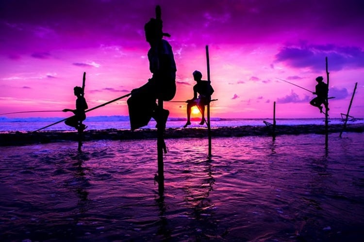 Stilt fisherman in Koggala, Sri Lanka 