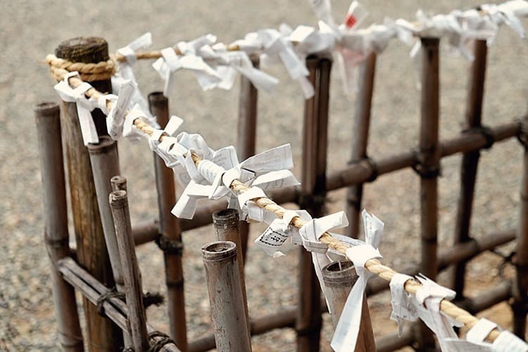 Sakurayama Hachimangu Shrine omikuji