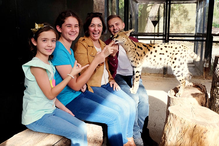 Werribee Open Range Zoo Car Encounter