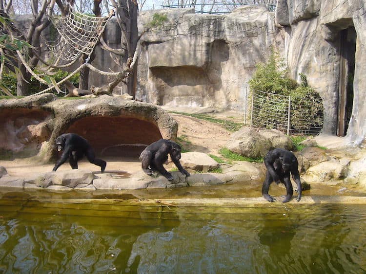 Barcelona Zoo with Kids - Barcelona with Kids