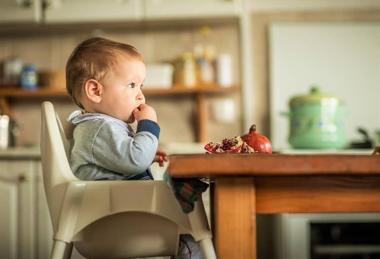 Best Travel High Chair