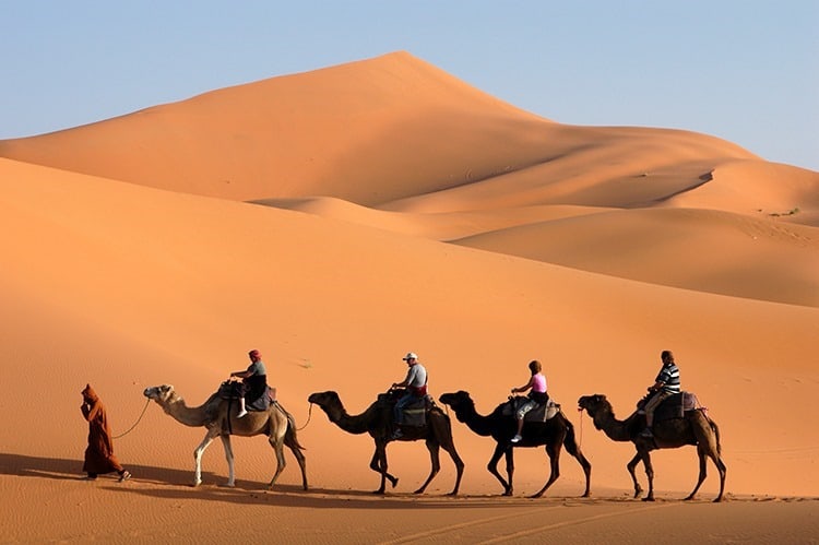 Sahara