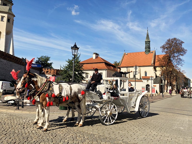 Cool things to do in Krakow Old Town