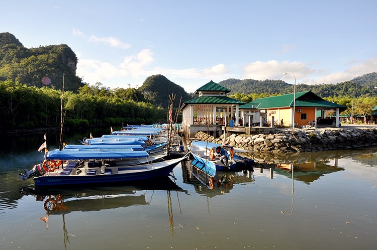 Langkawi Malaysia Mangrove Tour