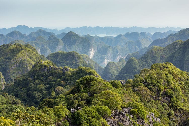 Lan Ha marine bay landscape from Cat Ba National Park, aerial view of the mountains