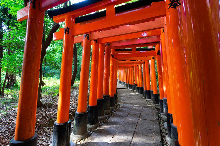 Yanaka Nezu Temple - Best Local Tours from Tokyo