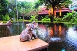 Baan Laanta Resort and Spa - Pool - TP