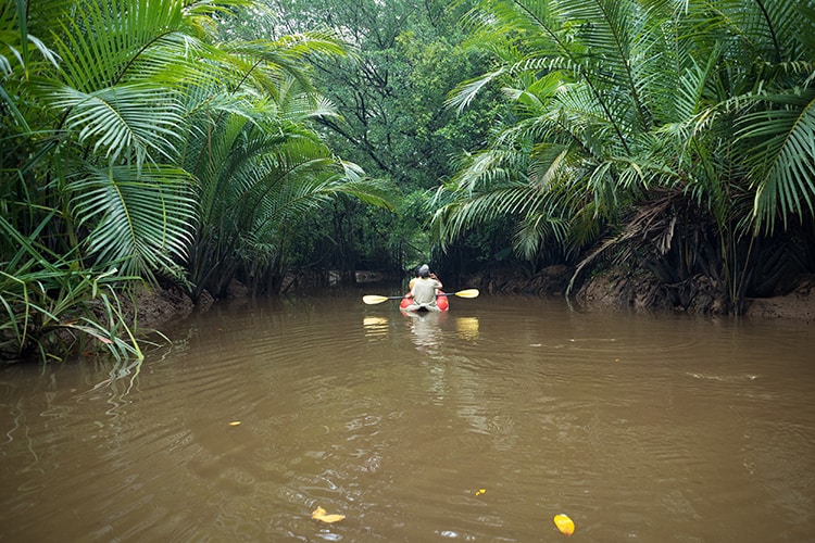 Kayaking at Klong Sung Nae, Thailand's Little Amazon.