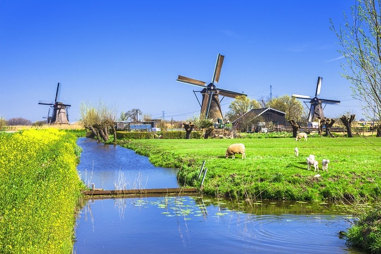 Kinderdijk countryside